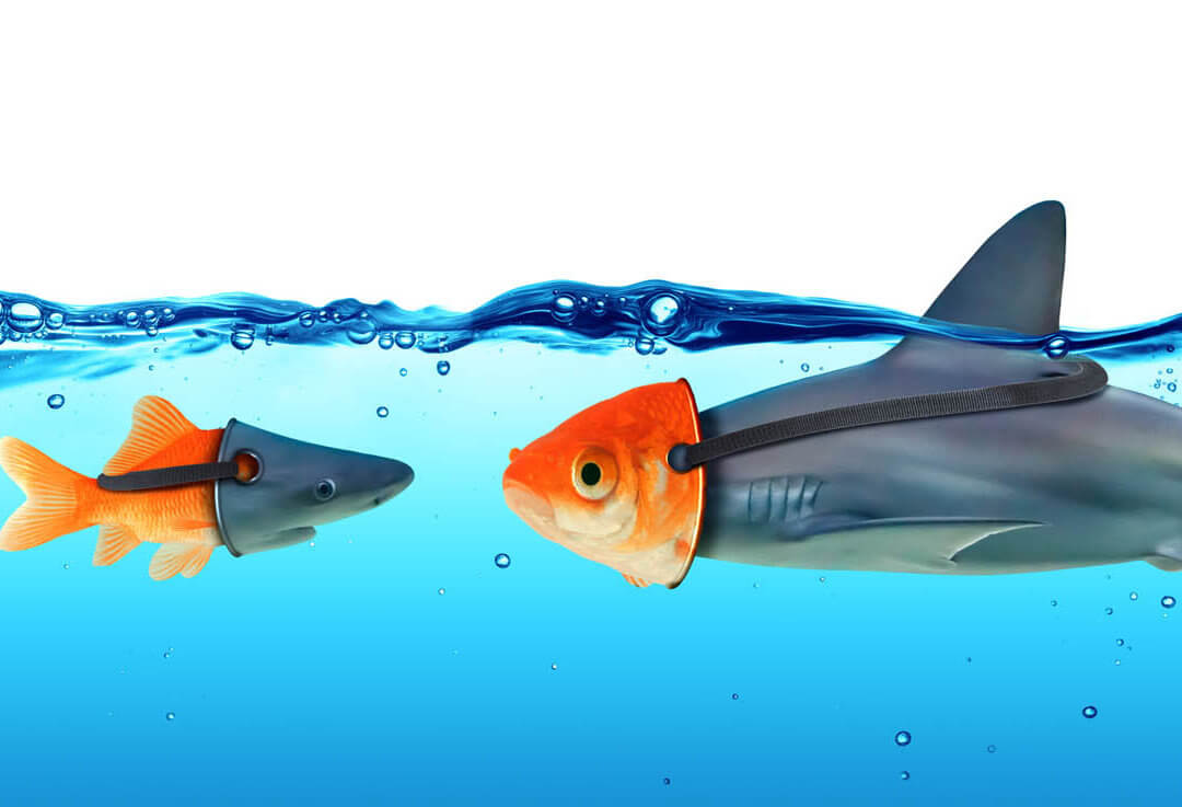 Social Media und Politik