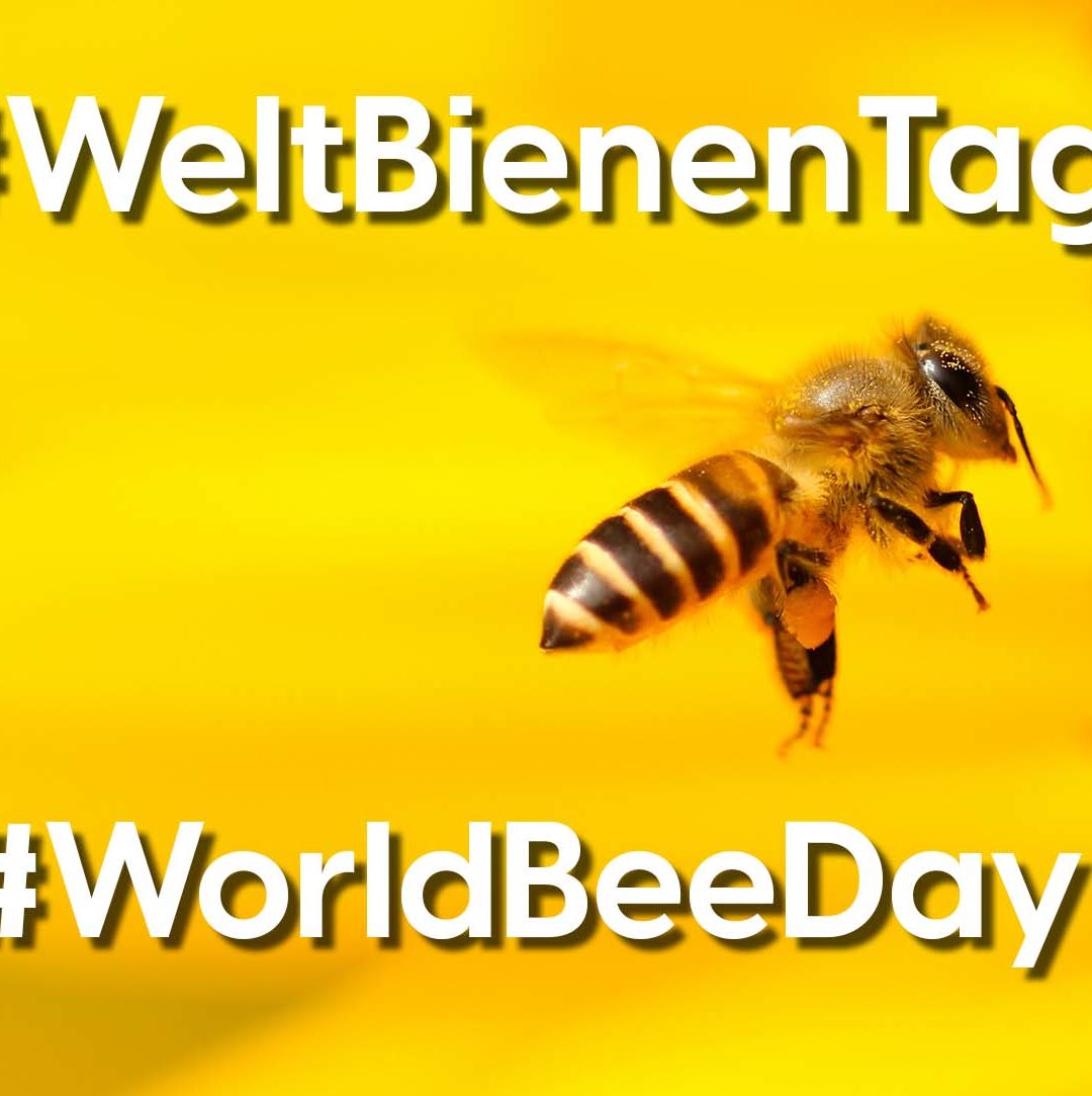Social Media Thema der Woche: KW 21 – Der 20. Mai ist der #Weltbienentag