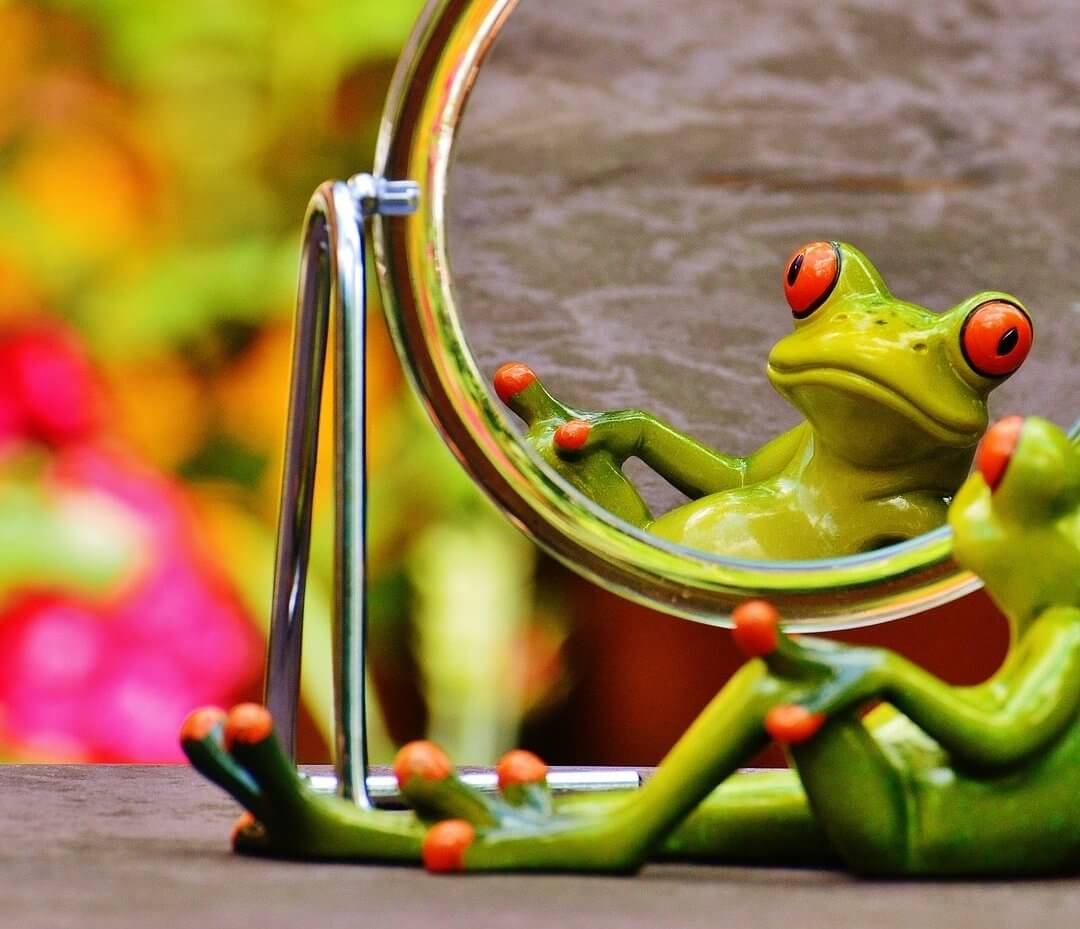 Pressespiegel oder Medien-Dashboard?