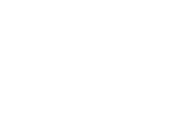 CACI-DBIS-Logo-Stacked-Reversed RS-Lynx-Logo